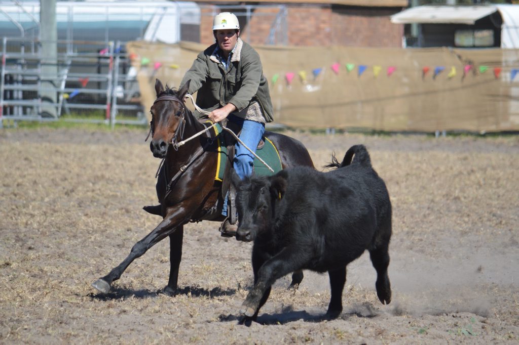 Michael Thomas from Tenterfield competing at the Stanthorpe campdraft at the weekend. Full coverage Page 12 - 13. Photo Contributed Michael Thomas from Tenterfield competing at the Stanthorpe campdraft at the weekend. Full coverage Page 12 - 13. Photo Contributed